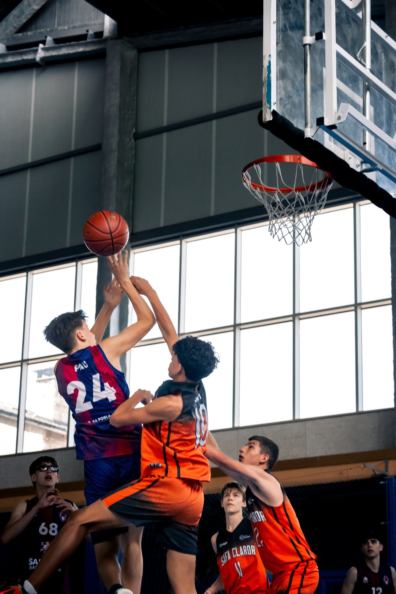Pirineos Basket