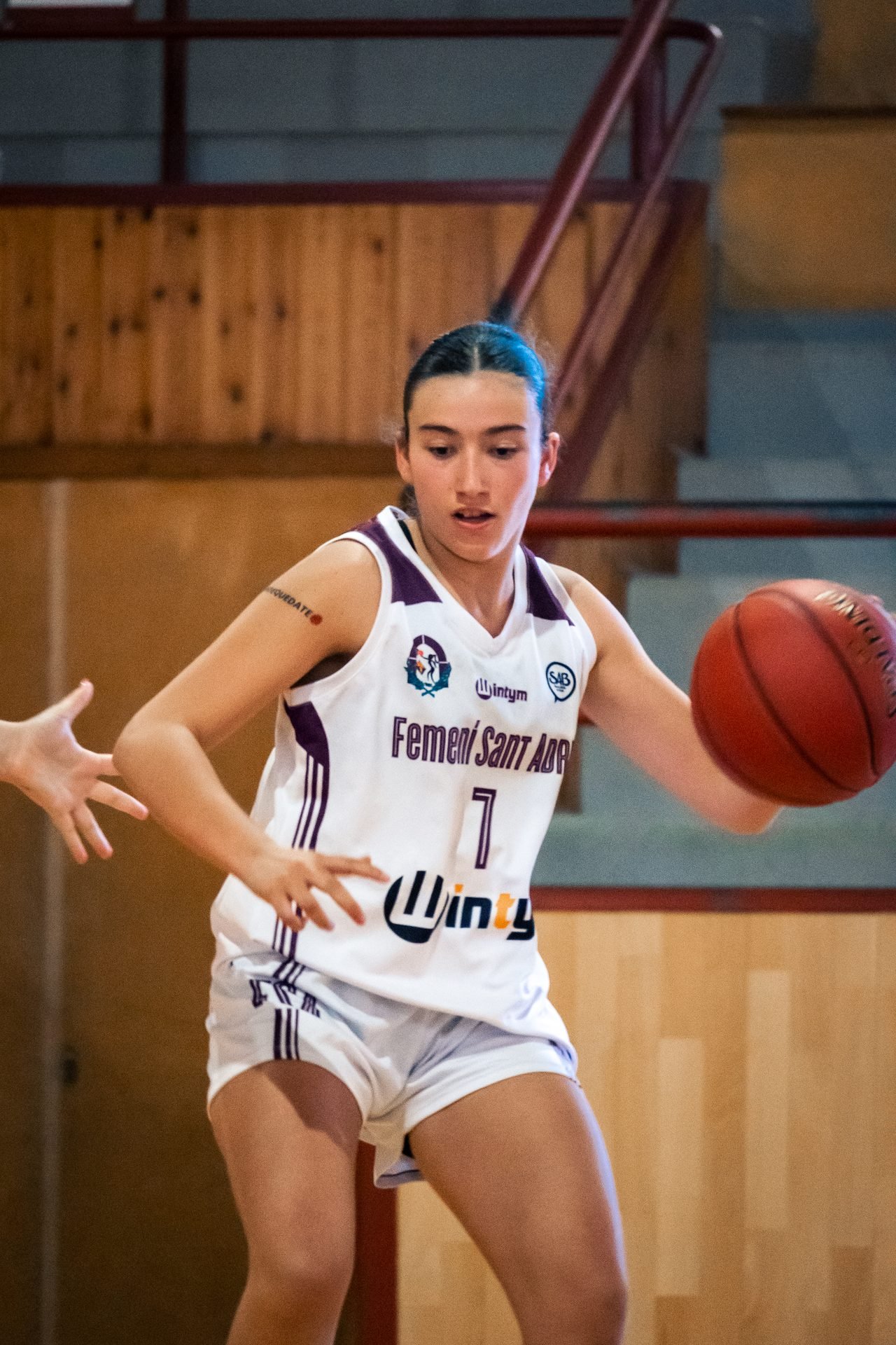 Pirineos Basket — foto 3