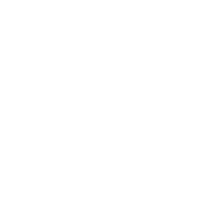 Pirineos Basket